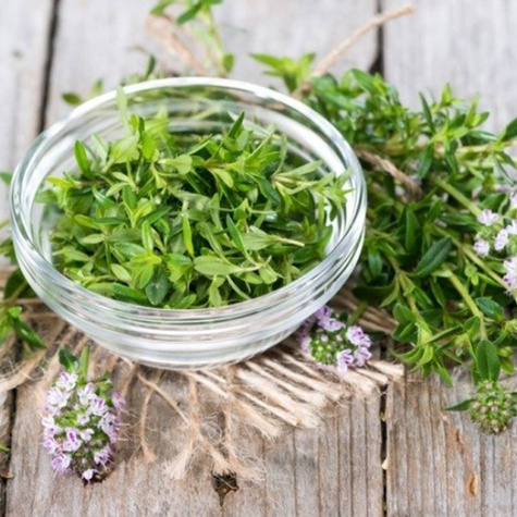 Cząber górski Czubryca Przyprawa (C2)