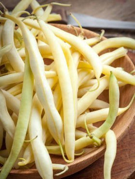 Fasola szparagowa żółta karłowa bezłykowa Złota Saxa 40+8g