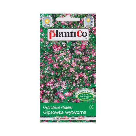 Gipsówka wytworna jednoroczna karminowa, Łyszczec 1g