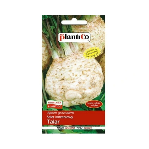 ZESTAW ALLEGRO Seler korzeniowy Talar wczesny 1 g