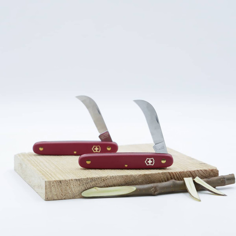 Nóż do przeszczepiania w kształcie sierpaka