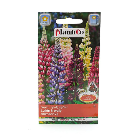 Łubin trwały mieszanka 2g Plantico