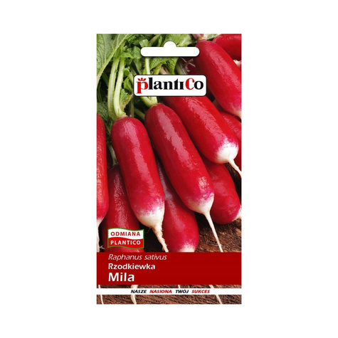 Rzodkiewka Mila wczesna 10g