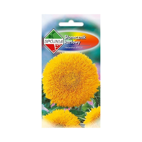 Słonecznik ozdobny karłowy, żółty pełny 2g
