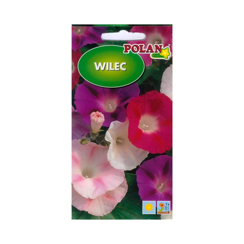 Wilec mix kolorów 5g Polan