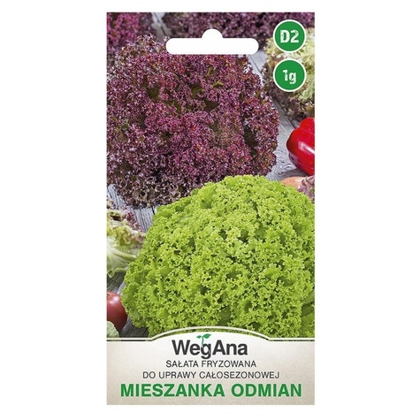 Sałata Masłowa Fryzowana Mieszanka Odmian 1g Werbena