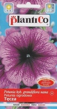 Petunia ogrodowa Tęcza 0,05g