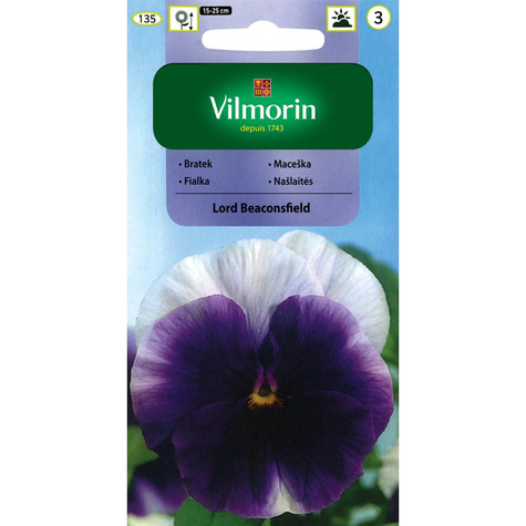 Bratek Fiołek ogrodowy szwajcarski Lord Beaconsfield 0,5g