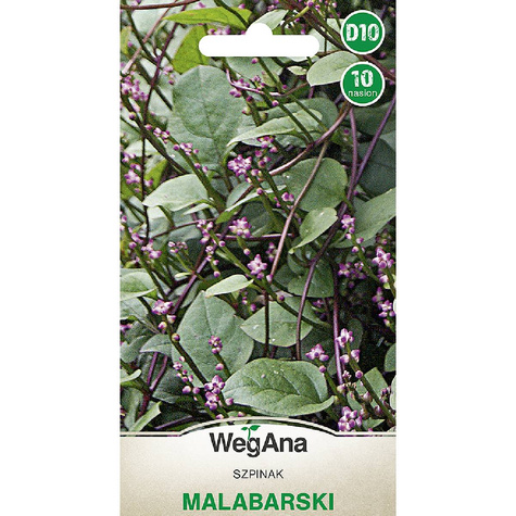 Szpinak malabarski 10 nasion WegAna