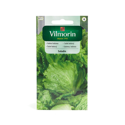 Sałata lodowa Saladin odporna 0,2g