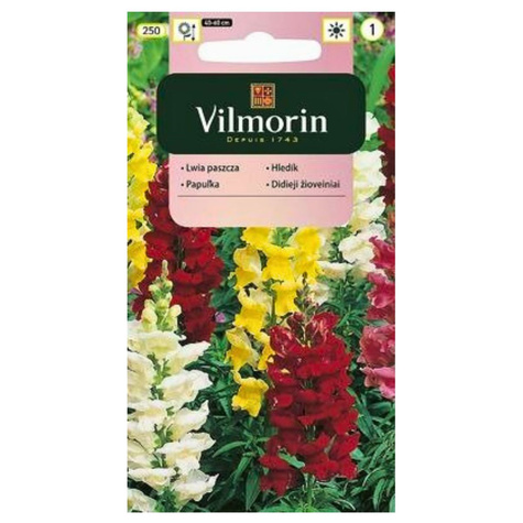 Lwia paszcza średniowysoka Wyżlin mix 1g