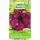 Petunia ogrodowa Gottfried Michaelis 0,05g