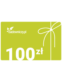 Karta podarunkowa 100 zł