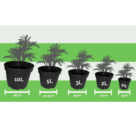 Doniczka okrągła 9 cm- 20 sztuk w pakiecie