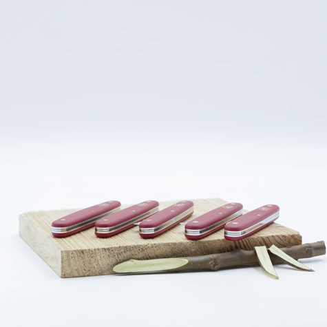 Nóż do przeszczepiania z prostym ostrzem