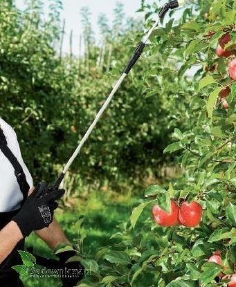 MAROLEX Titan 16 P-16