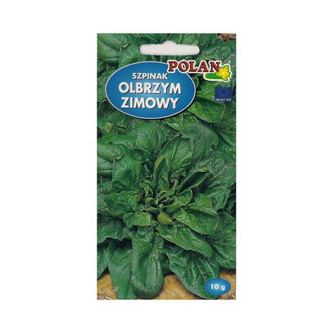 ZESTAW ALLEGRO Szpinak olbrzymi zimowy 10g