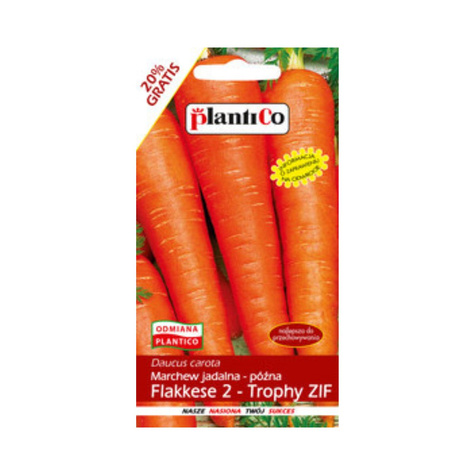 Marchew jadalna Flakkese 2 Trophy Zif późna 6g
