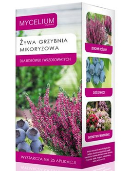 Grzybnia Mikoryza dla Borówek i Roślin Wrzosowatych 250ml