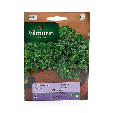 Bazylia grecka Minette 2g