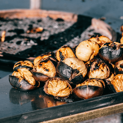 Kasztanowiec Kasztan jadalny Smaczne owoce (C2)