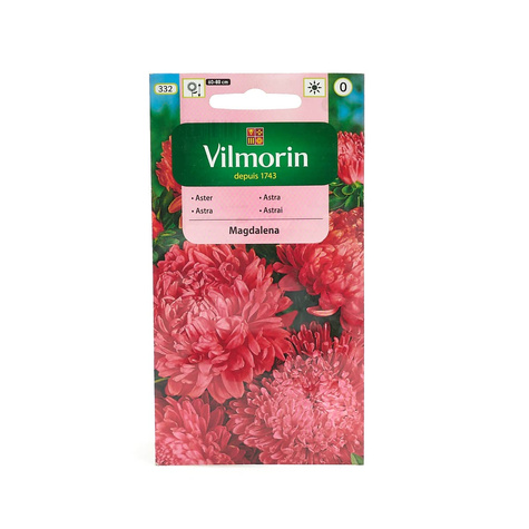 Aster chiński peoniowy Magdalena 0,5g