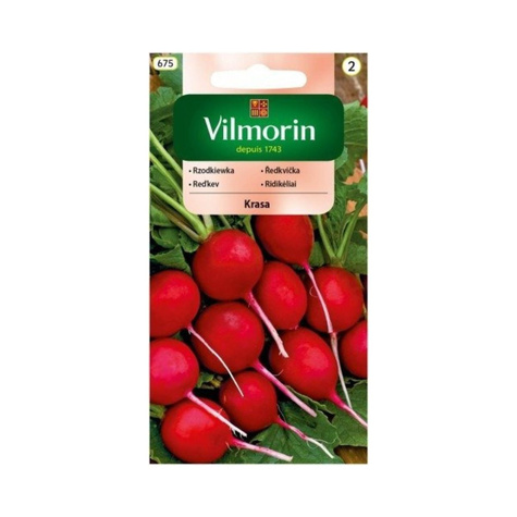 Rzodkiewka okrągła Krasa nieparciejąca wczesna 10g