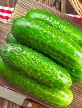 ZESTAW ALLEGRO Ogórek gruntowy Octopus mieszaniec f1 1,5g