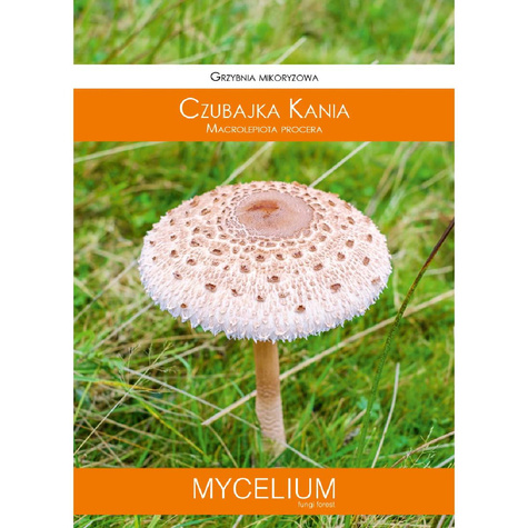 Grzybnia mikoryzowa Czubajka kania 60 ml