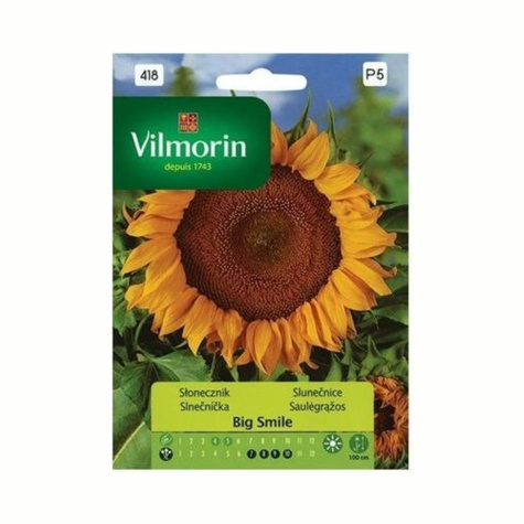 Słonecznik zwyczajny Helianthus Annuus Big smile 0,5g