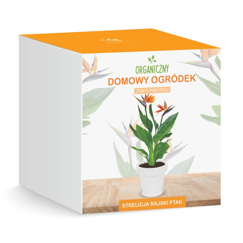 Zestaw do uprawy Strelicja Królewska Rajski Ptak zrób to sam