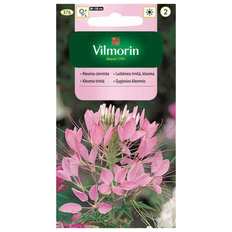 Kleome Kleoma ciernista mieszanka 1g