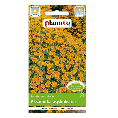 Aksamitka wąskolistna pomarańczowa 0,5 g Plantico