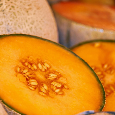 Melon Emir F1 1g
