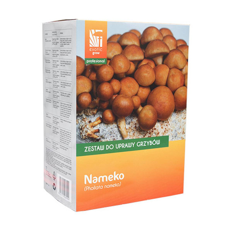 Łuskwiak Nameko Professional 1l Pholiota nameko