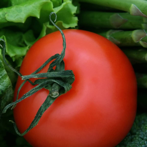 Pomidor gruntowy karłowy Betalux 0,5g