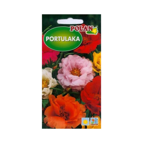 Portulaka wielkokwiatowa mieszanka kolorystyczna 0,5g