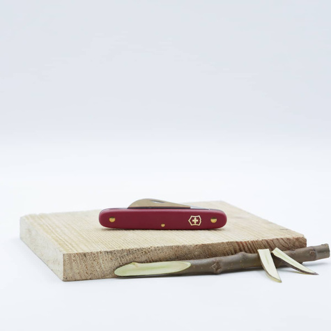 Nóż do przeszczepiania w kształcie sierpaka