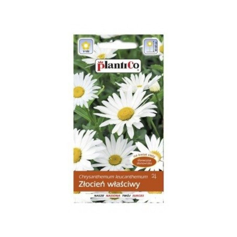 Złocień właściwy biały, Jastrun, Margarytka 0,5g Plantico