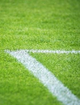 Mieszanka traw Sportowa 0,9kg