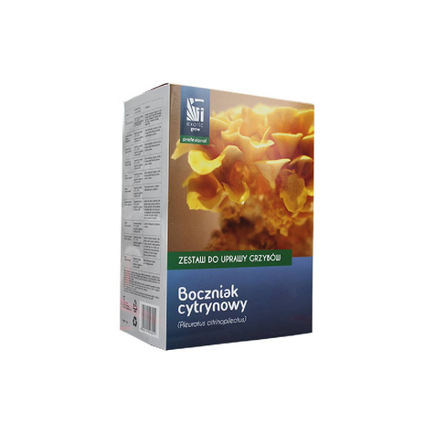 Boczniak cytrynowy Profesional 1kg Gotowe podłoże do uprawy domowej