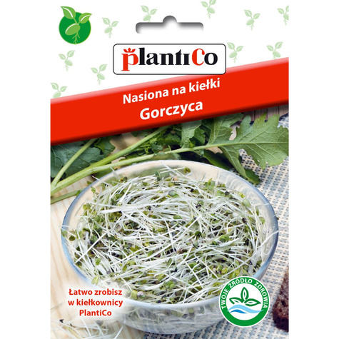 Gorczyca nasiona na kiełki 20g