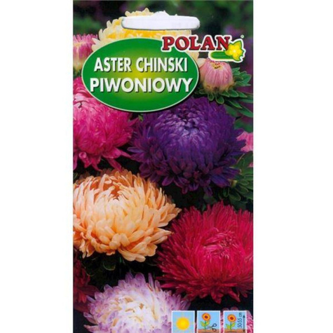 Aster peoniowy mix kolorów 1g
