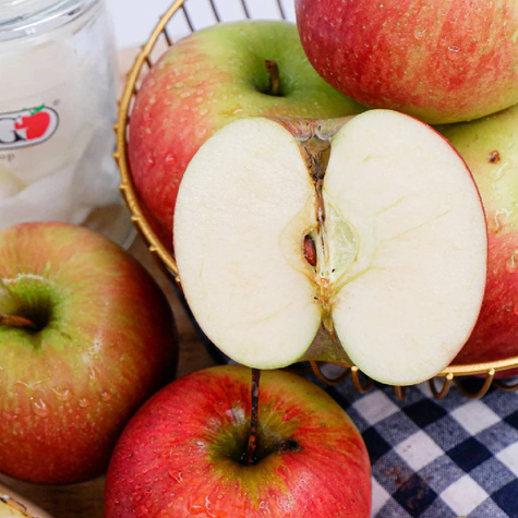 Jabłoń Rajka w doniczce C2