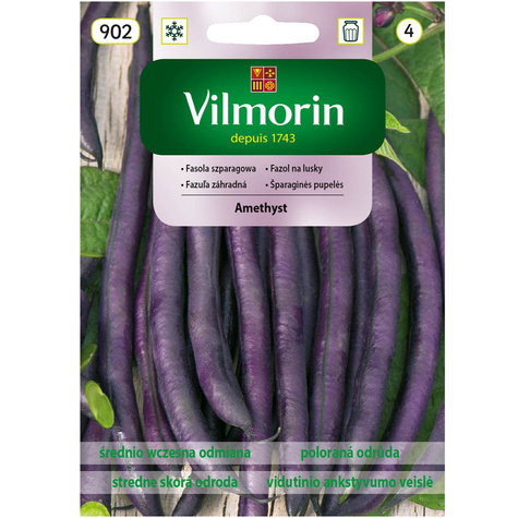 Fasola szparagowa fioletowa karłowa Amethyst 30g