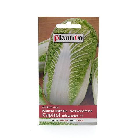 Kapusta pekińska Capitol F1 wczesna 0,2g