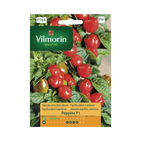 Papryka Peppino F1 ostra doniczkowa 10szt