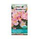 Begonia stale kwitnąca Papillon rose 0,1g
