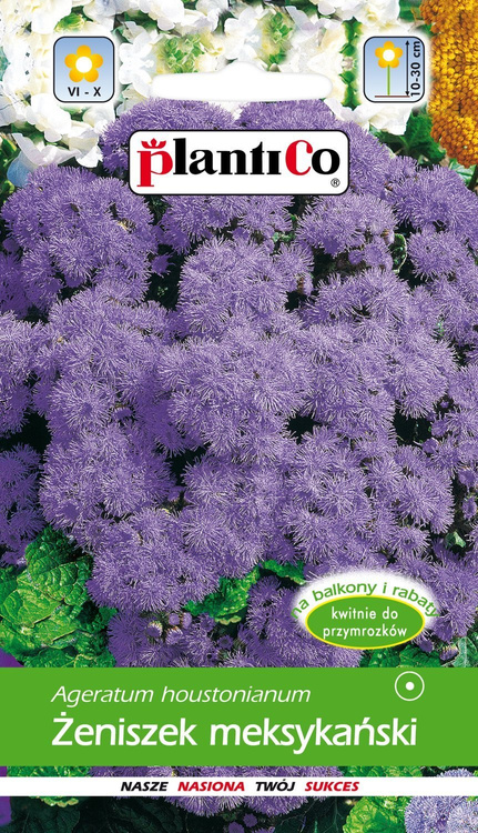 Żeniszek meksykański fioletowy 0,25g