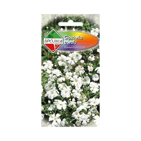 Gipsówka trwała biała, łyszczec 0,5g